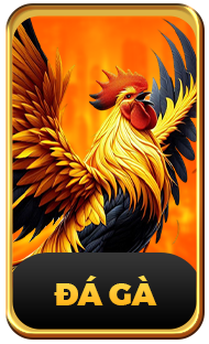 đá gà tại 789f