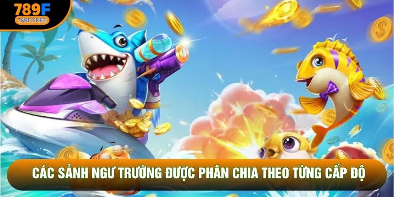 Các sảnh ngư trường được phân chia theo từng cấp độ Các sảnh ngư trường được phân chia theo từng cấp độ