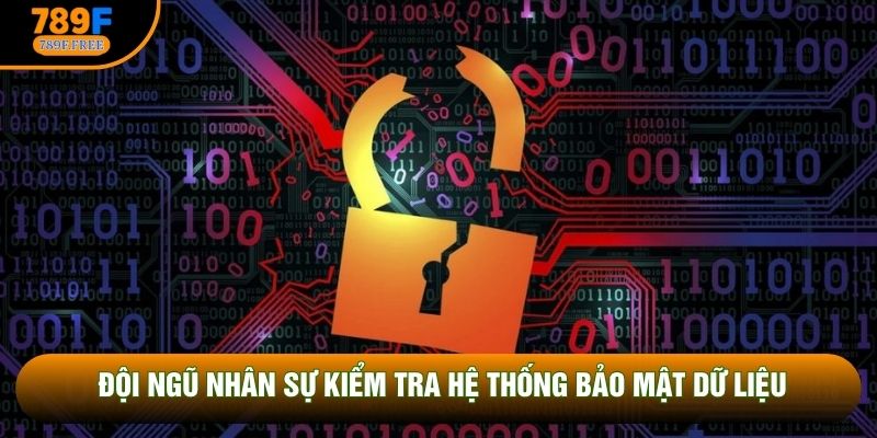 Đội ngũ nhân sự kiểm tra hệ thống bảo mật dữ liệu