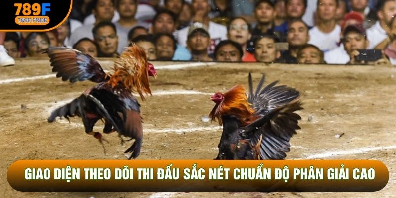 Giao diện theo dõi thi đấu sắc nét chuẩn độ phân giải cao
